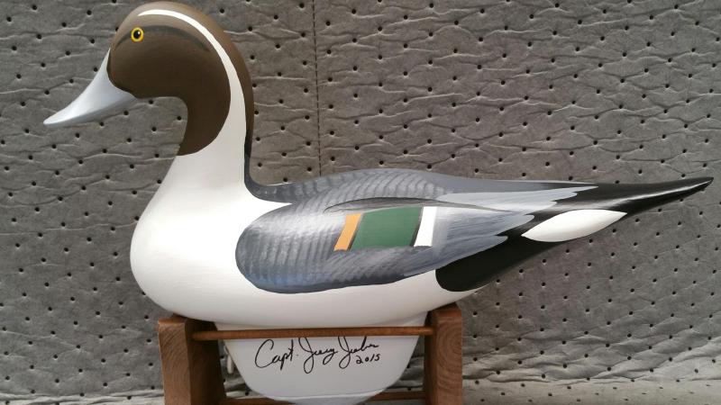 High Head Pintail
