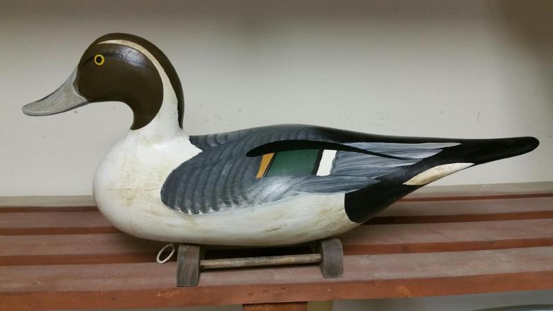 Antique Full Size Pintail